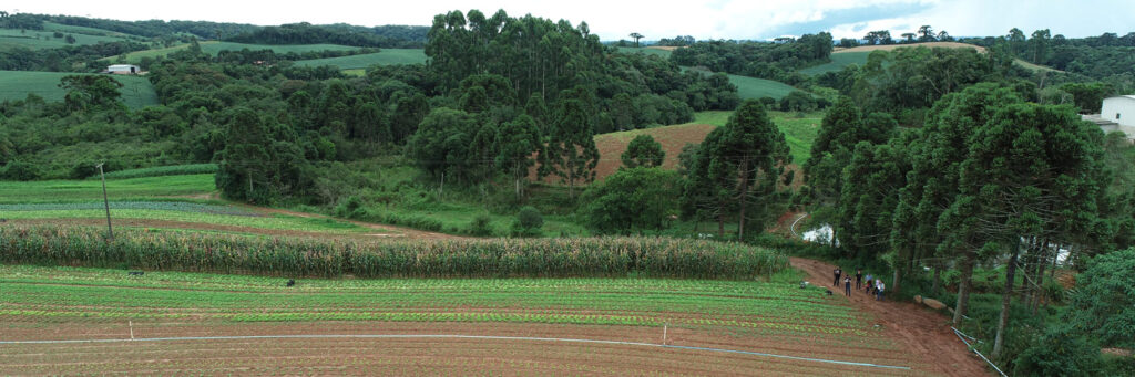 Quanto vale a terra agrícola no Paraná, segundo estudo da Faep-Senar