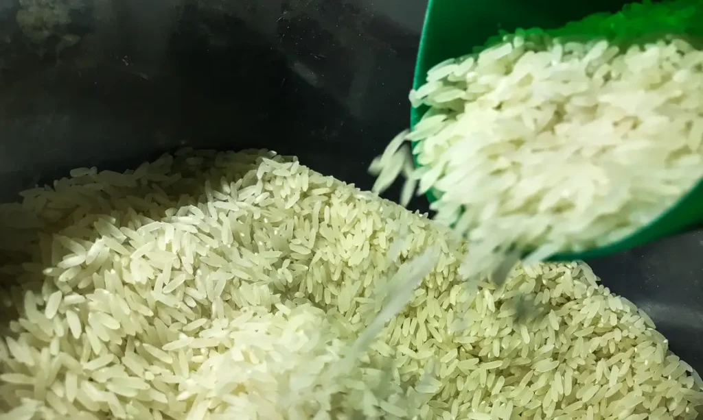 TRF-4 derruba liminar e leilão de arroz está mantido
