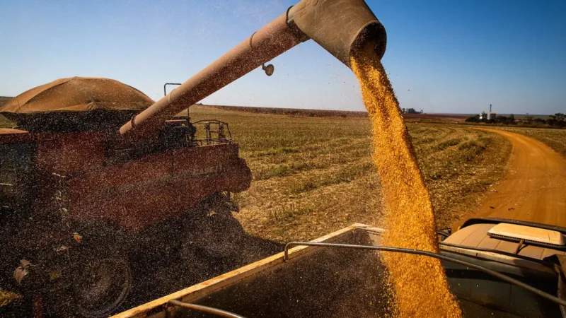 Brasil colherá 297,5 milhões de toneladas de grãos, estima a Conab