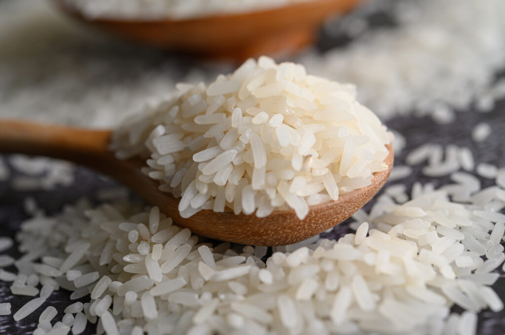 Leilão do arroz: ‘teve falcatrua nessa história’, avalia Pedro Lupion