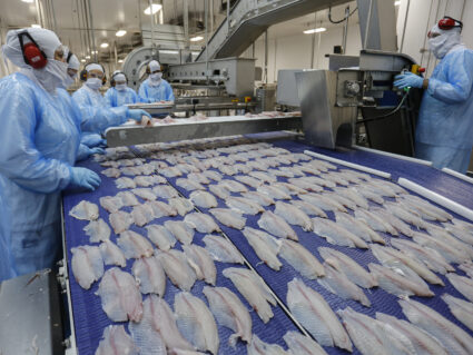 Exportação de pescados cresce 20% no Paraná